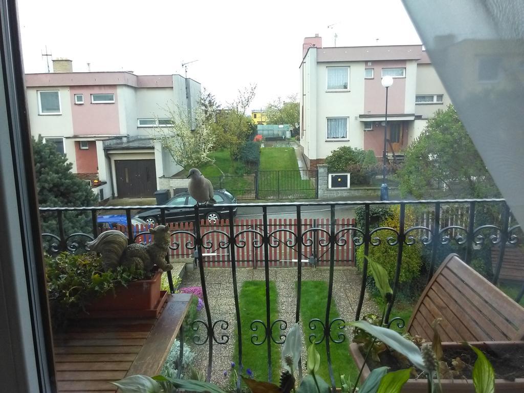 Ubytovani Irena Benesov  Εξωτερικό φωτογραφία